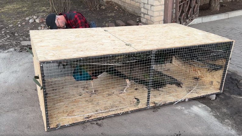 ����: 6262.com.ua