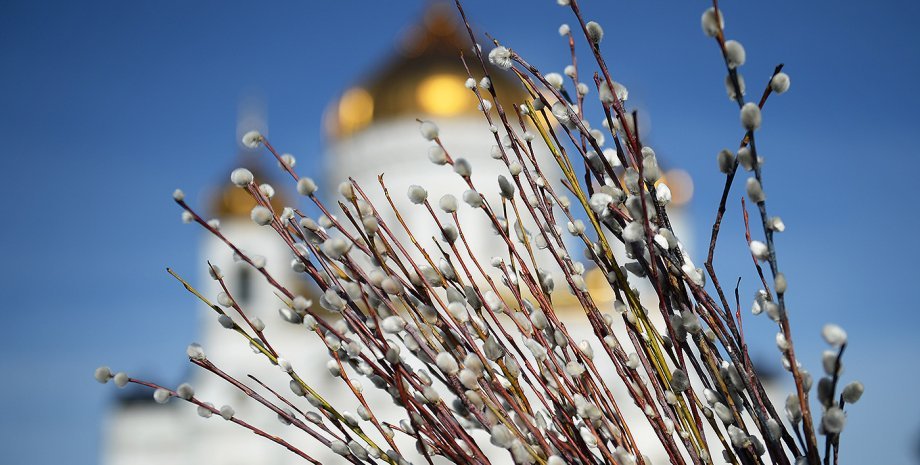  ���� ������ ����� ��������� �������� ������ 