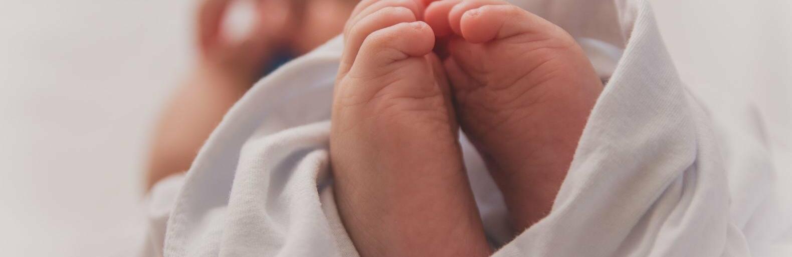  ������� ���� ������ ���������� �������� 