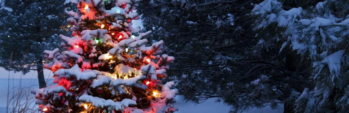  ��������� ����� ����� 2026 �������� ��������� ���� ����� 