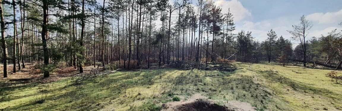  ������ ���� ������� ��������� �� ��� ���� �������� 