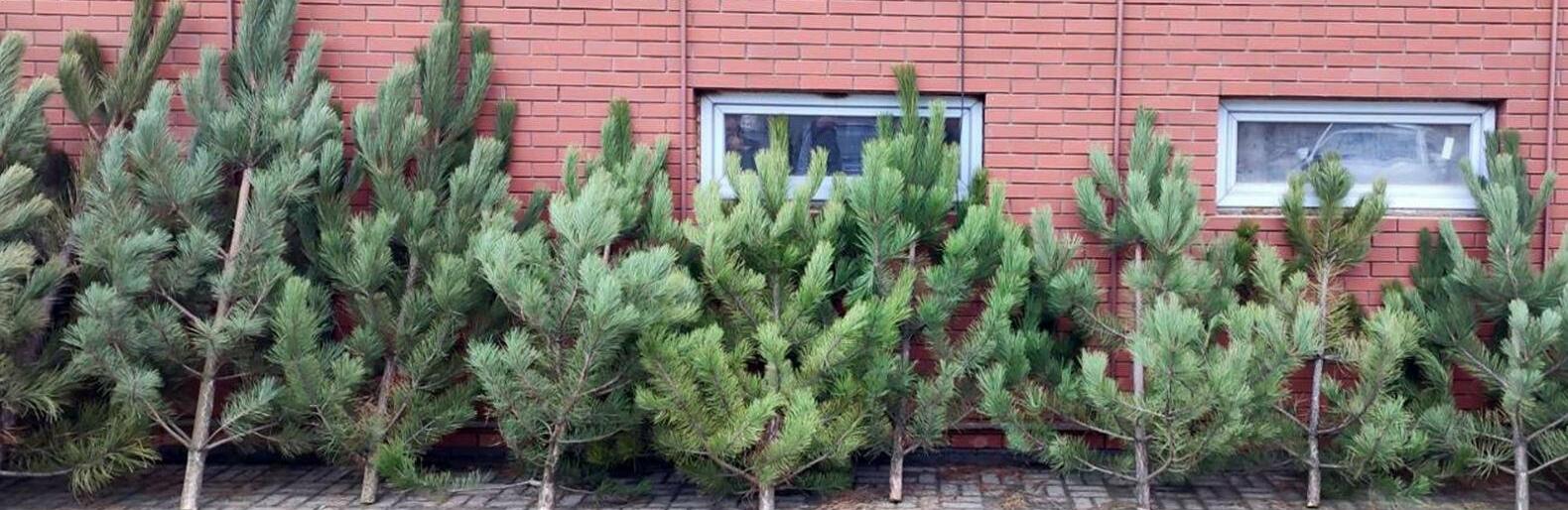  ���� ������ ���������� ���������� ������� ������ 