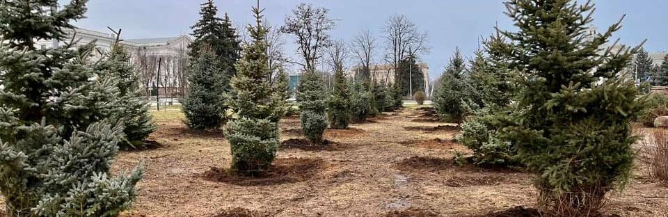  ����� ������������ �������� ������ 