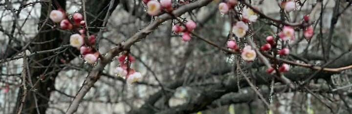  ���� ������ ����� ���� ��� 