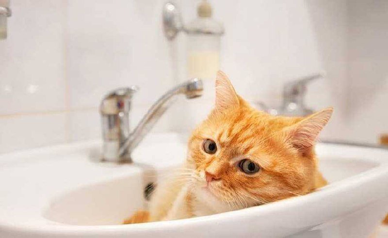  ��������� ���� ���� ������ ���� �������������� ����� 