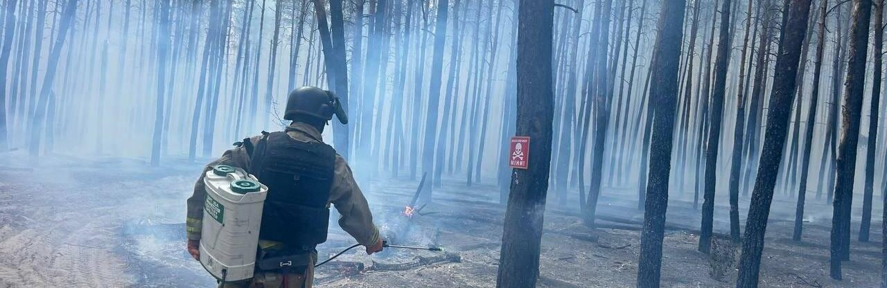  ������������� ����� ���� ���� ������� ������ 