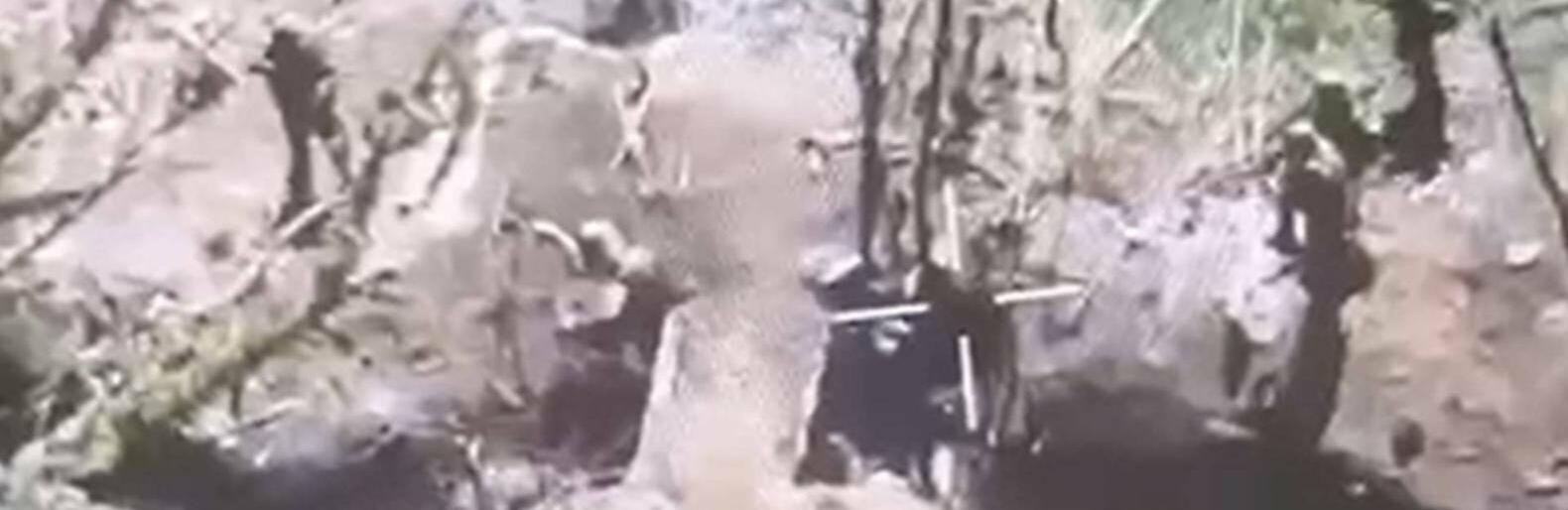 ����: 6262.com.ua