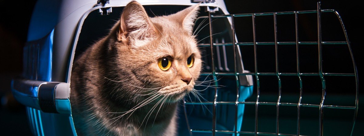 ����: 6262.com.ua