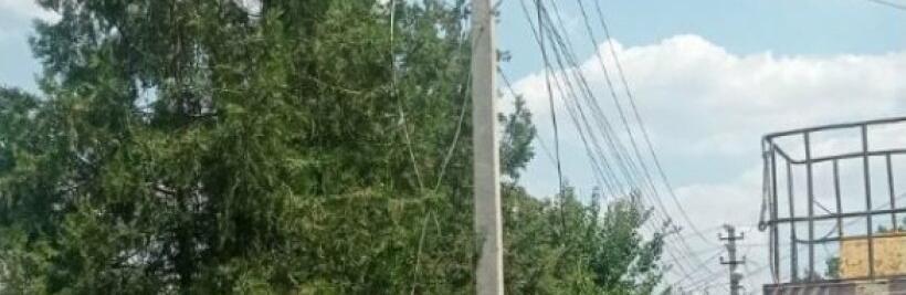  ����������������� ��������� ���������� �������� ������ ����� ������������� �������� 