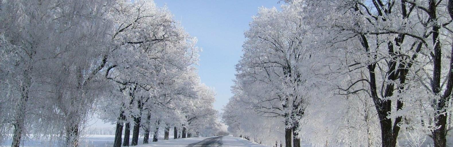  ���� ���� ������ ���� ������ ���� 