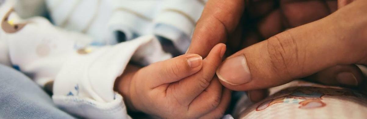  ������� ���� ������ ���������� ����� �������� 