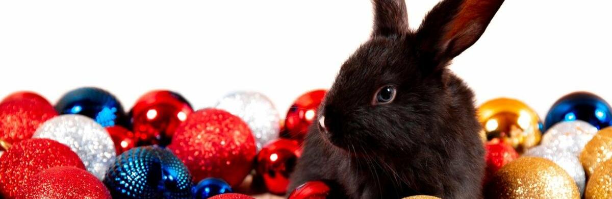  ����� �������� ����� �� 2023 