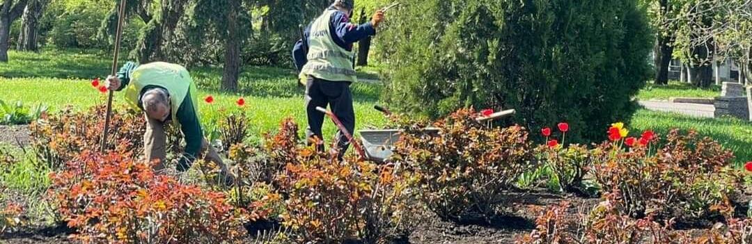  ���� ������ ����� ���� ����� ���������� 