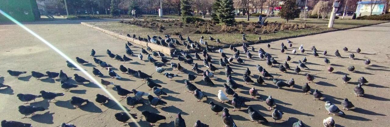 ����: 6262.com.ua