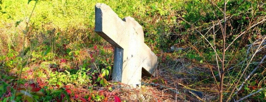  �������� �������� �������� ������������� ����� ��������� 