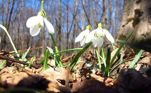 ����: 6262.com.ua