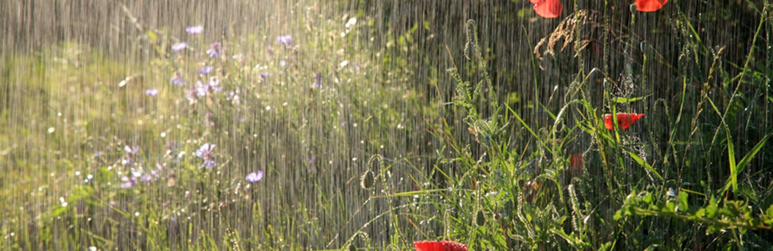  ���� ����� ������ ����� ��������� ������ 