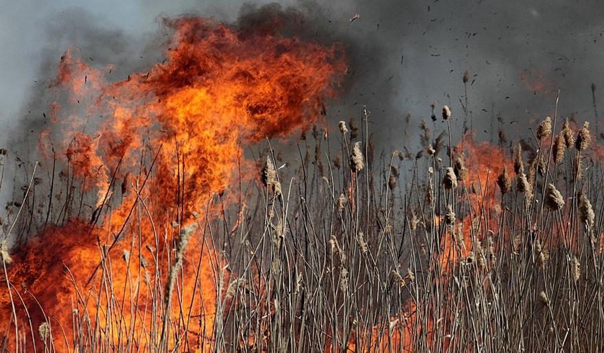  ��������� ���������� ������ ����� ����� ����� 