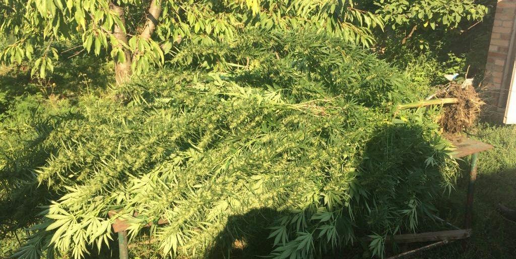 ����: 6262.com.ua