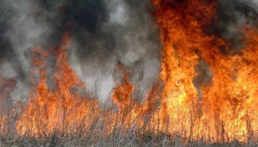  ��������� ������ ������ ����� ����� ����� 