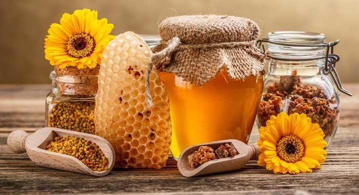  ������ �������� 