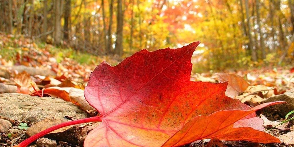  ����� ���� ��������� ������������ ������ ���� ����� 