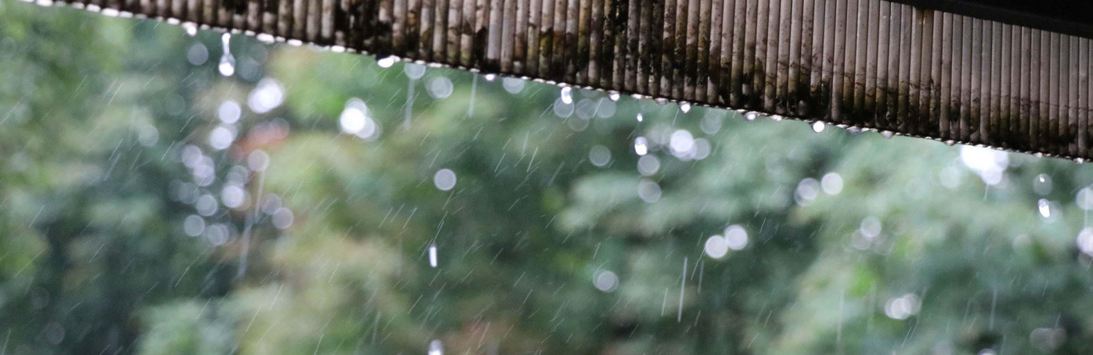  �������� ����� 