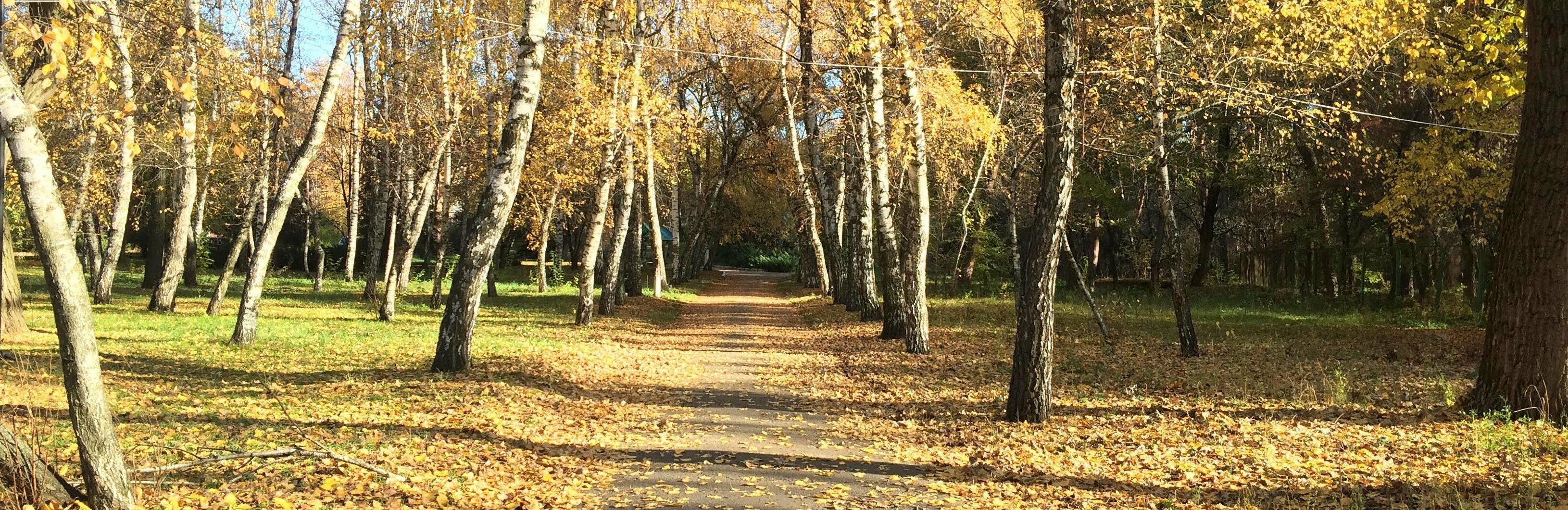  ��������� ����� ���������� ������� 