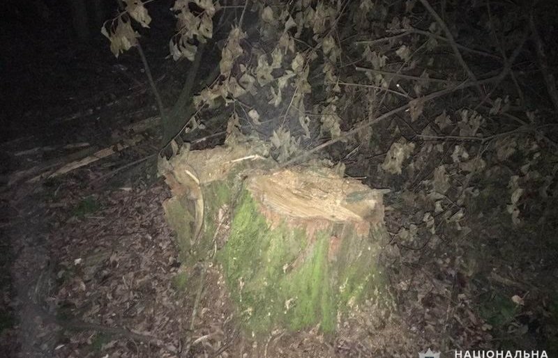  �������� ������� ��������� ������� 