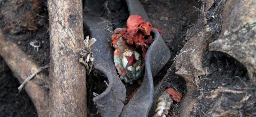  �������� ��������� ����������� ������ ������� ����� ������ ���� 