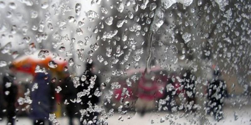  ������ ��������� ���� ������ ������ ����� 