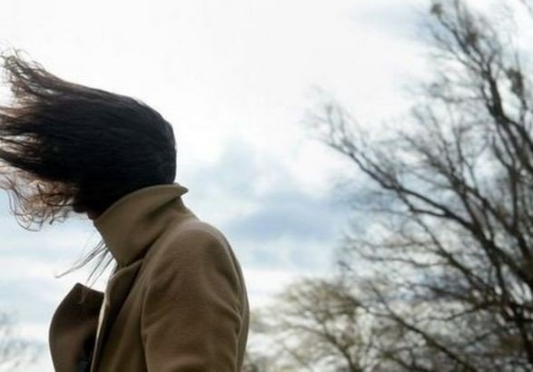  ������� ������ ����� ��� ������ �������� ���� 