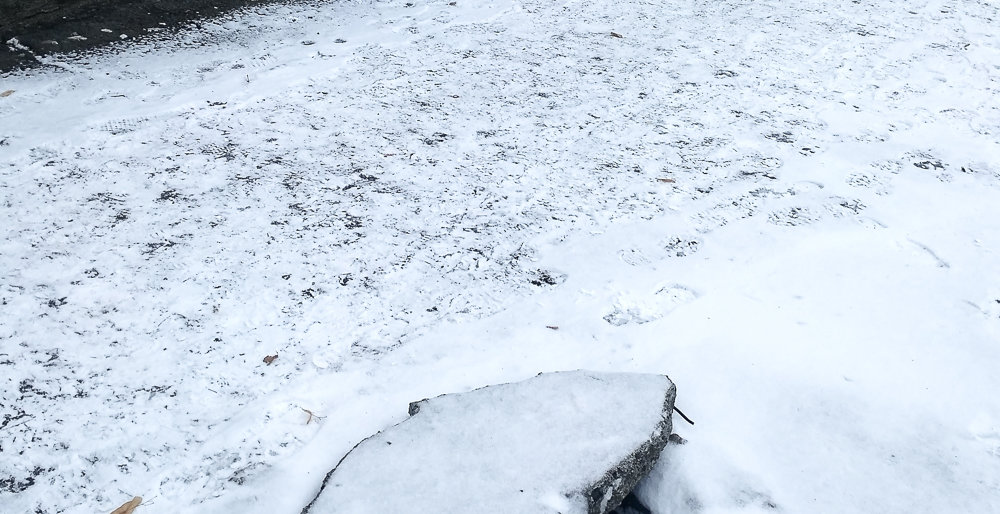 ����: 6262.com.ua