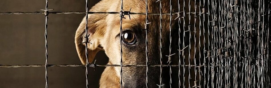 ����: 6262.com.ua