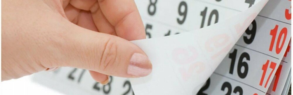  ������ ������� ������� 2019 ��������� �������������� 