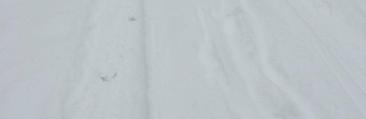  �������� �������� ������ 