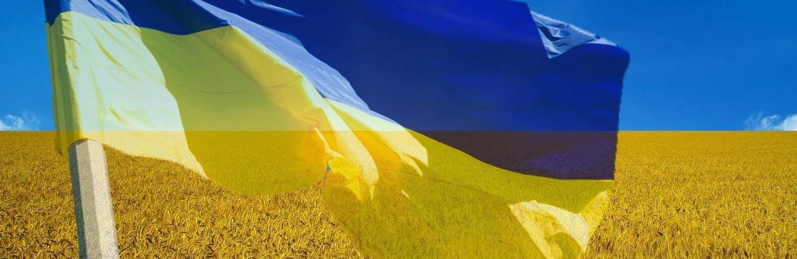  ��� �������� ���� ���������� ��������� ������ ���� 