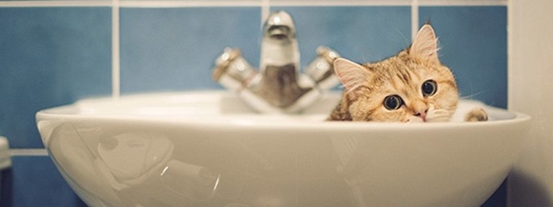 ����: 6262.com.ua