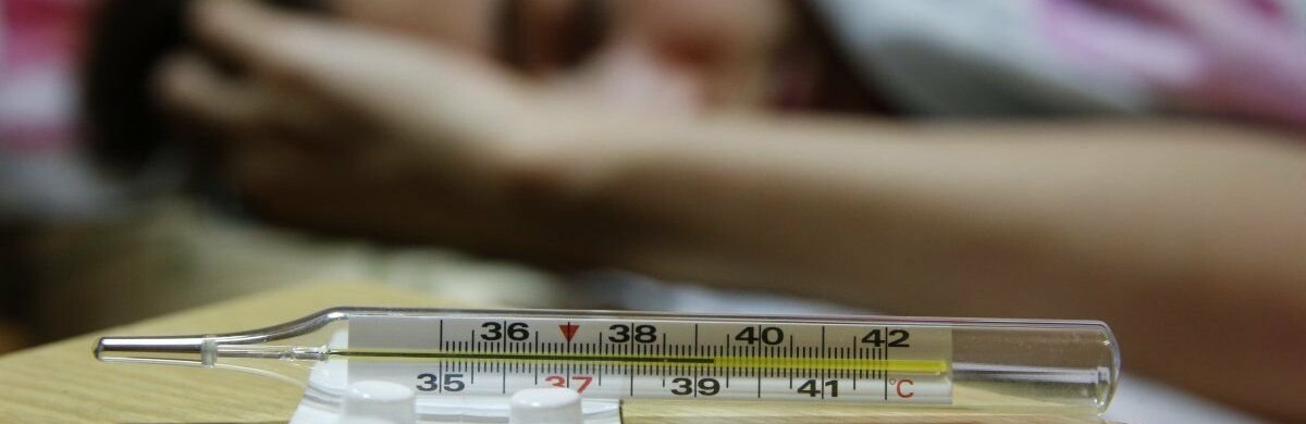  ������� ������ ������ 