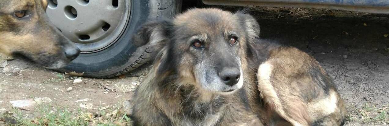 ����: 6262.com.ua