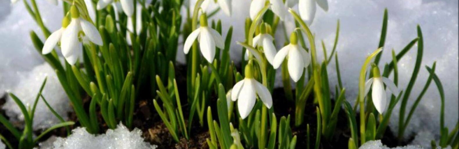  ���� ����� �������� ��������� 