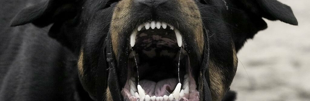 ����: 6262.com.ua