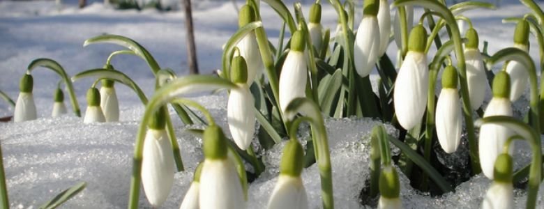 ����: 6262.com.ua