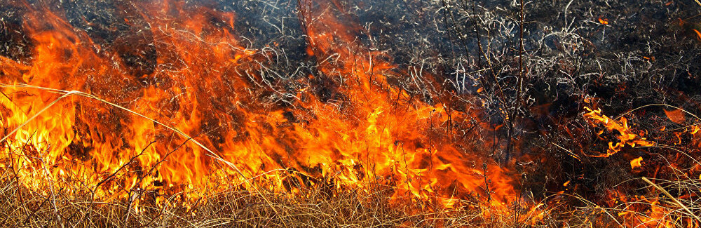  ������������ ���������� ������ ���� ����� 