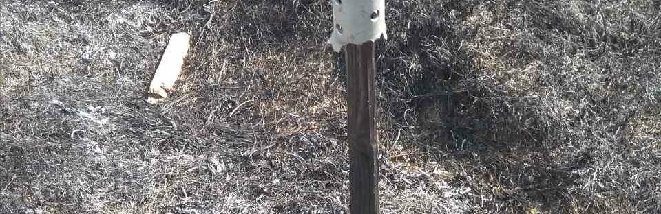  ������������� ���������� ���� ������ ��������� ��������� �������� ��������� 