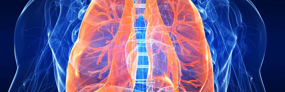  ��������� ���� ������ ������������ 