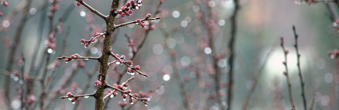  ����� ����������� ������� ������ ��������� ������ 