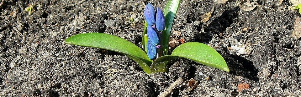  ��������� ��������� ��� ������� 