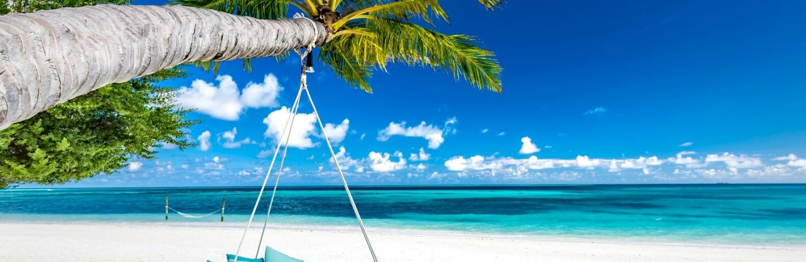  ���� ������ ��������� ��������� ����������� 