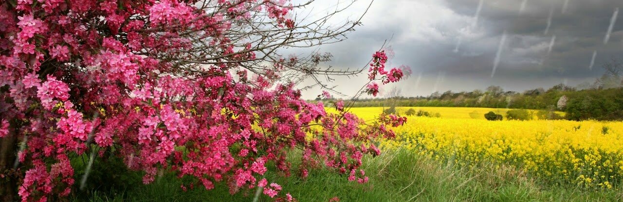 ����: 6262.com.ua